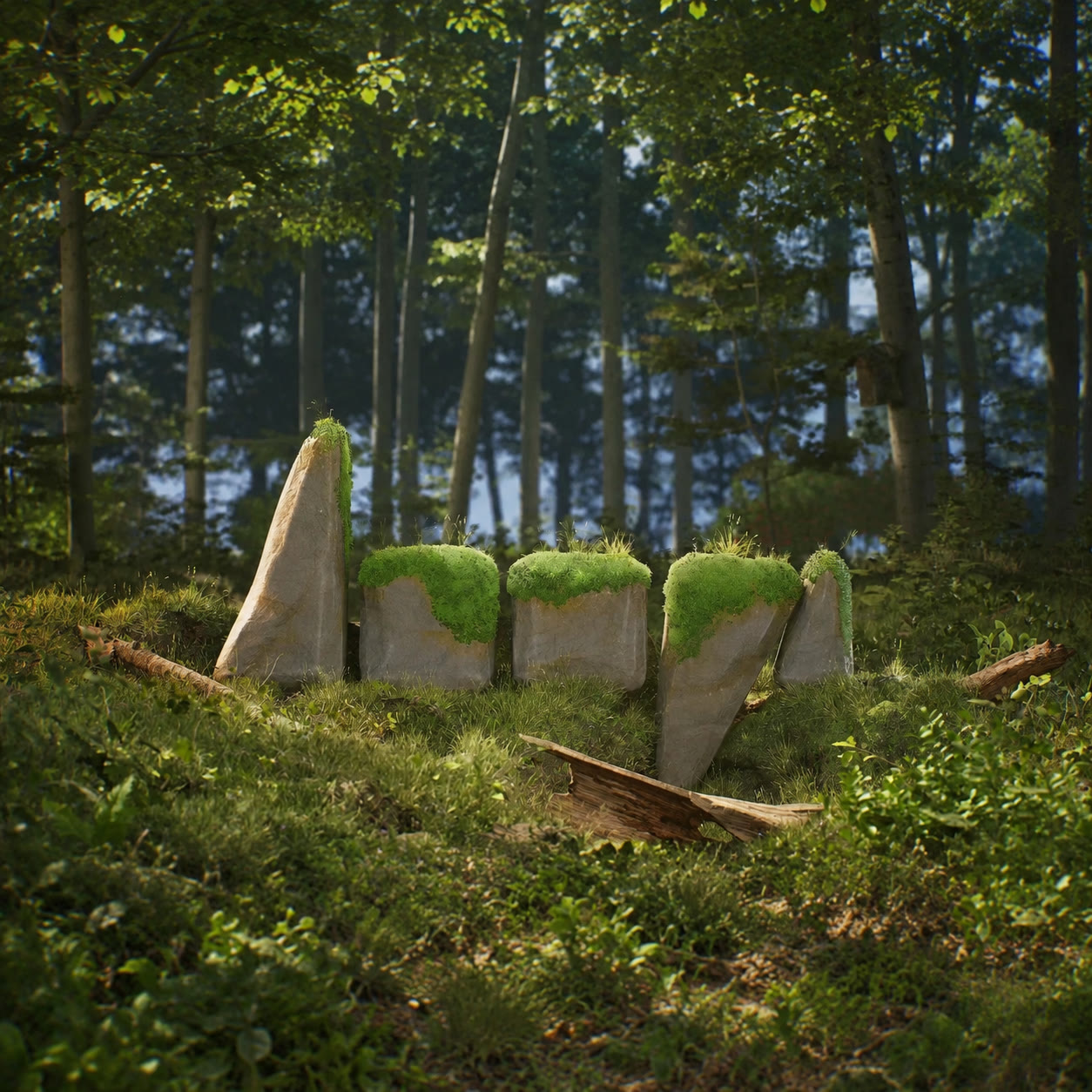 Décor de forêt avec des blocs de pierre couverts de mousse