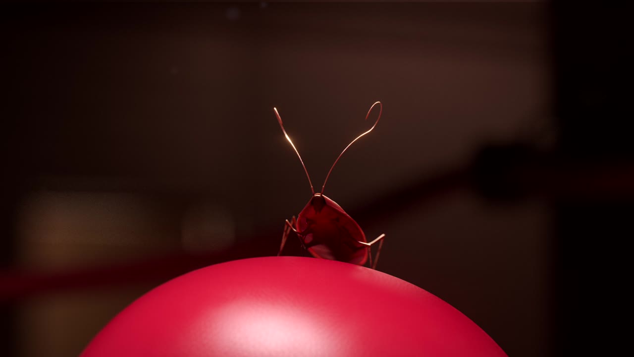 Image du film Punch : des gants de boxe rouges posés sur un tabouret